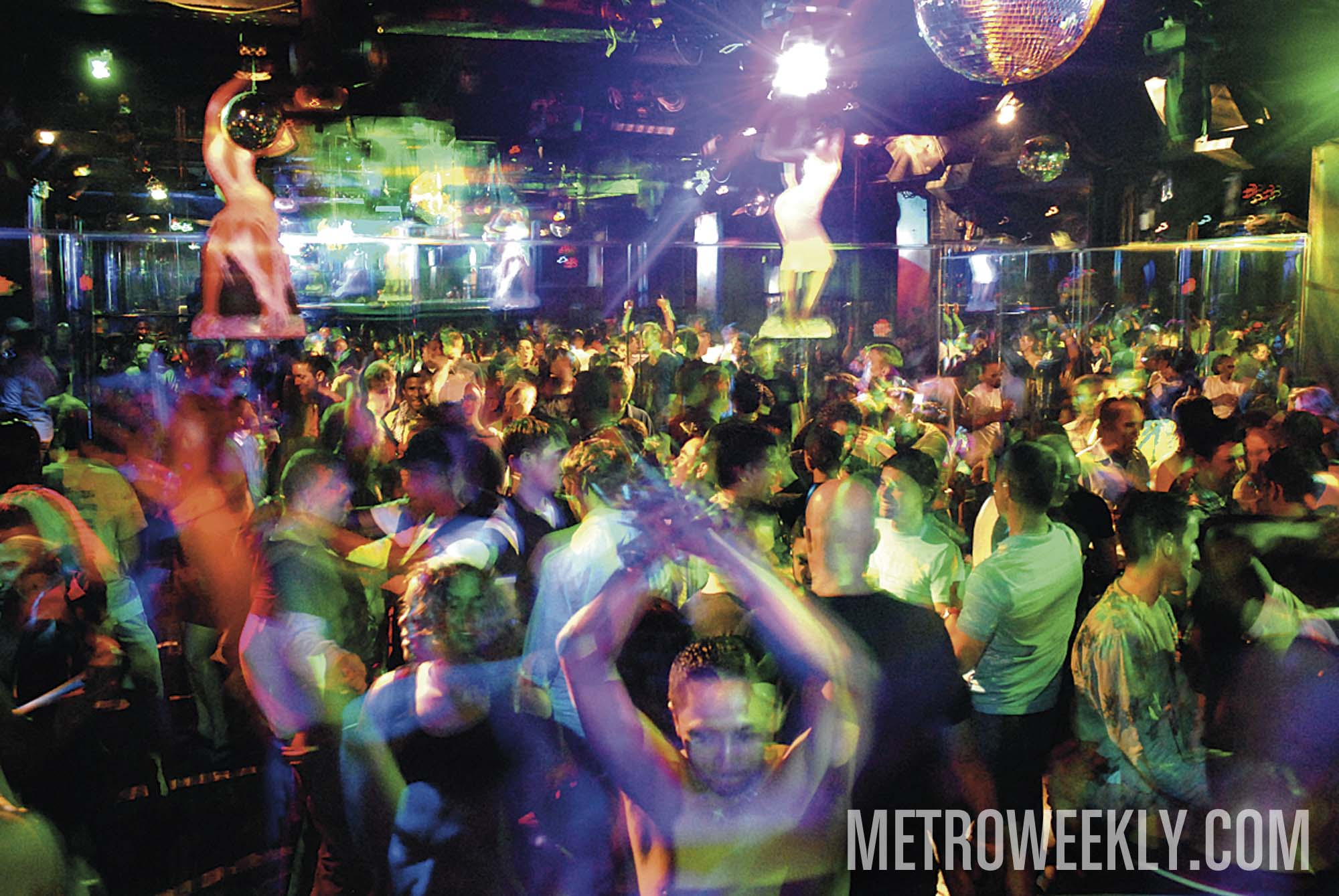 #1 of 48 : 2020-11-19_2770_163776.jpg