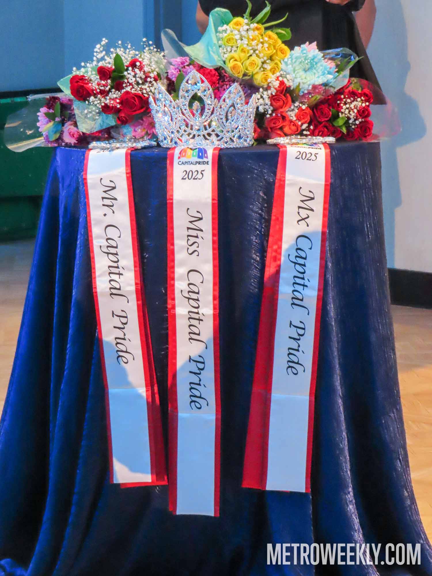 #13 of 111 : 2025-04-10_2988_176466.jpg