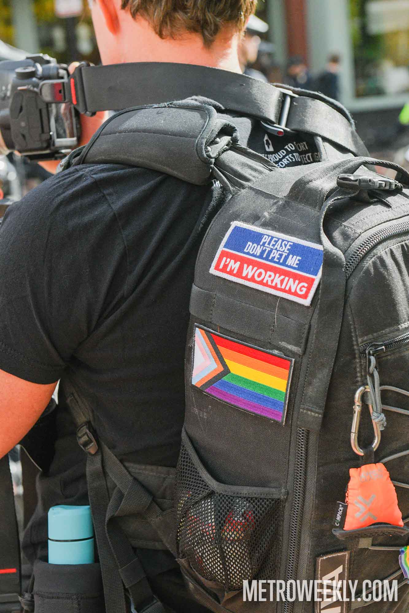 #26 of 147 : 2025-10-23_3013_178379.jpg