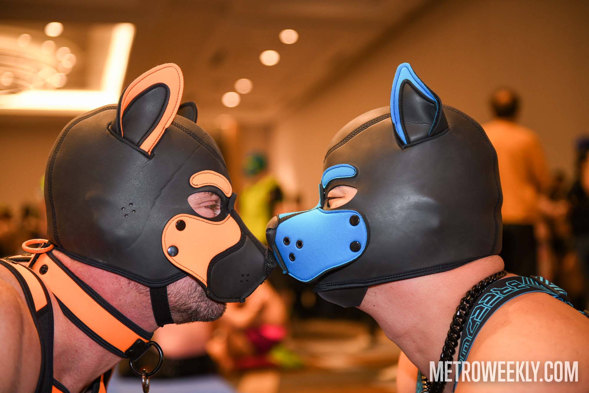 #11 of 168 : 2026-01-23_3027_179227.jpg